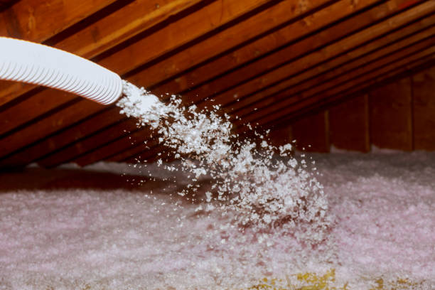 Best Spray Foam Insulation  in Coyne Center, IL