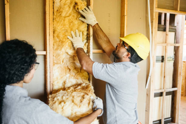 Best Commercial Insulation Contractor  in Coyne Center, IL